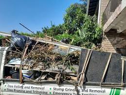 Best Moving and Downsizing Cleanouts  in Kana, UT